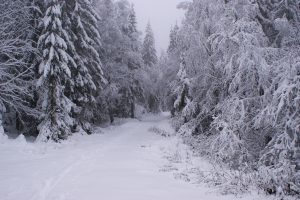 Read more about the article Rørleggertips: Hvordan forebygge rørproblemer i vintermånedene
