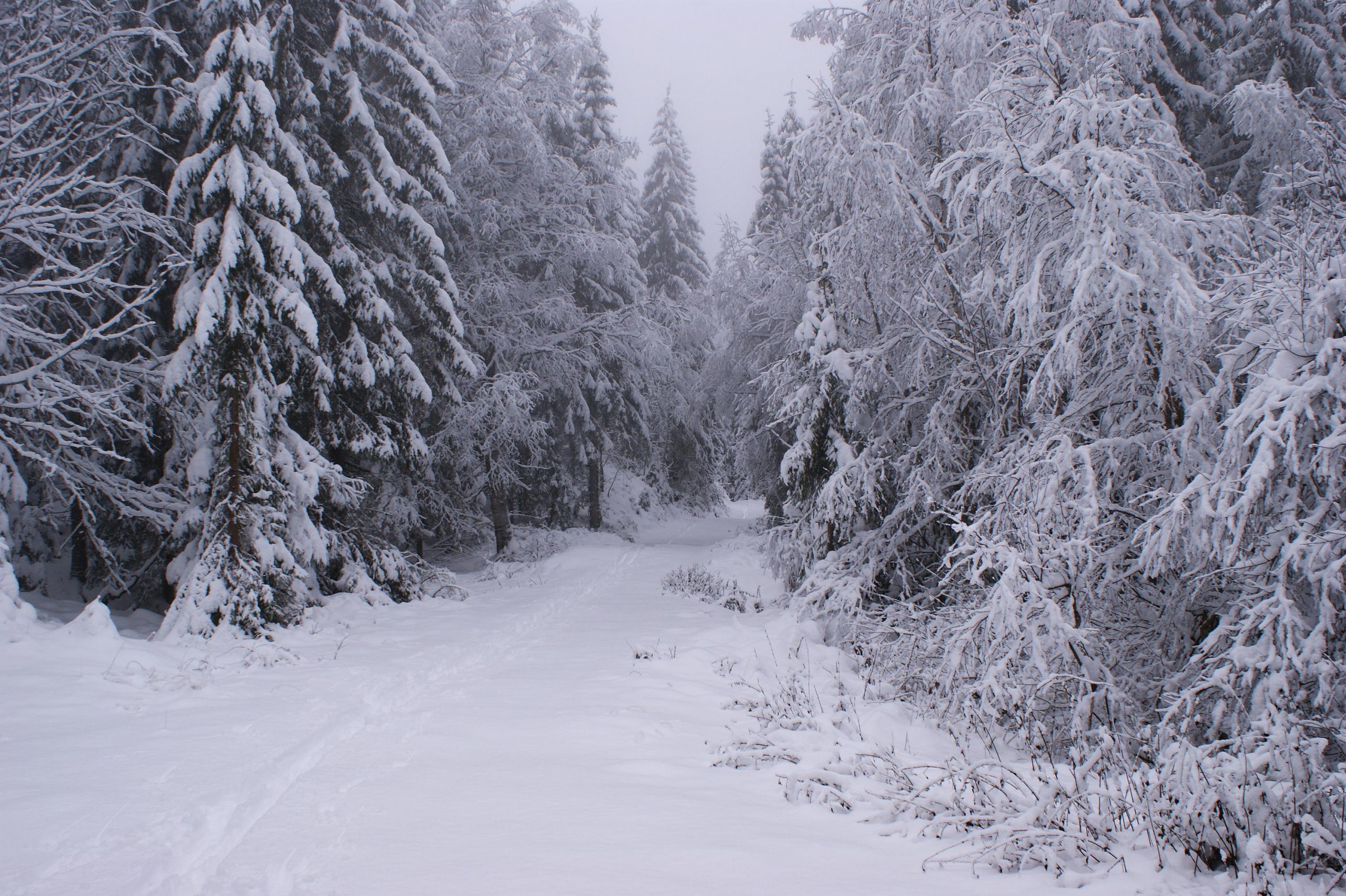 Read more about the article Rørleggertips: Hvordan forebygge rørproblemer i vintermånedene